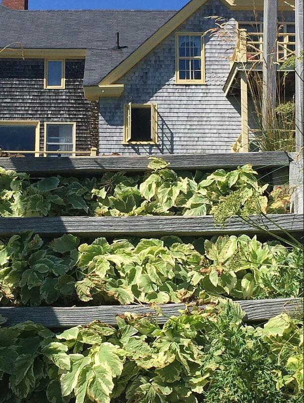 Acadia Bay Inn Sullivan Kültér fotó